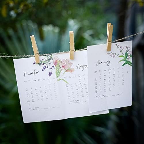 Mr. Pen- Wooden Clothes Pins, Large Natural Wood, 50 Pack, 2.9 Inch - Image 8