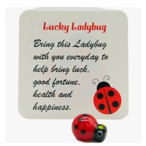 WESTMON Works Lucky Ladybug Legend Pocket Charm Set Little Good Luck Glass Token with Story Card